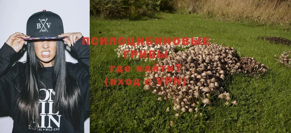 MESCALINE Нязепетровск