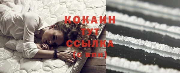 jwh Новозыбков