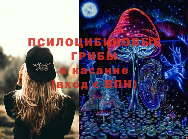 таблы Новодвинск
