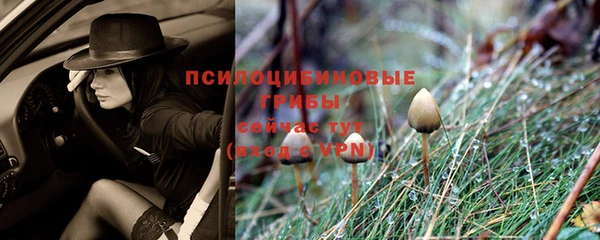 таблы Новодвинск