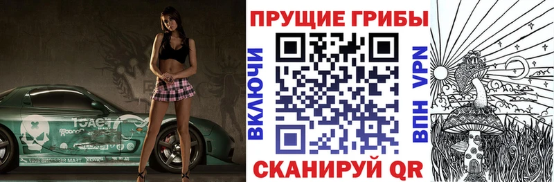 Купить где  Кяхта  Галлюциногенные грибы ЛСД 